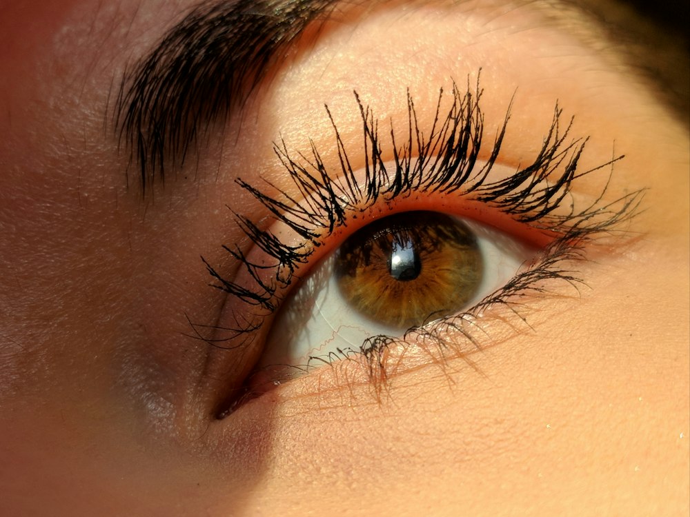 My Secret Studio Lashes & Brows
